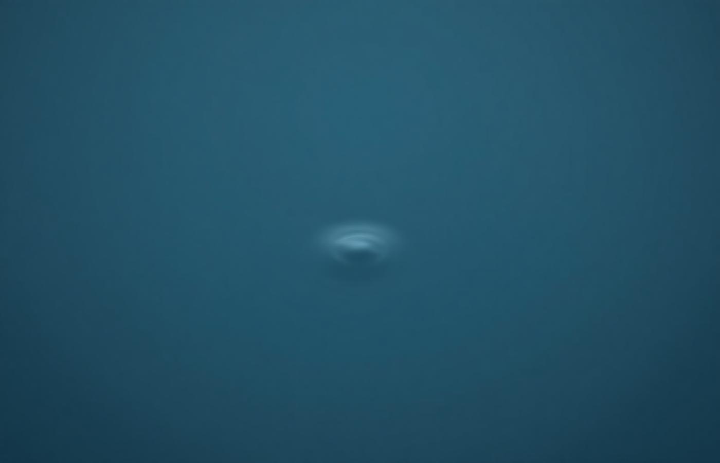 Surface d'eau calme parcourue d'une onde légère